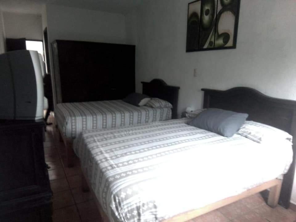 Hotel Raiz De Sierra Matlapa Exteriör bild